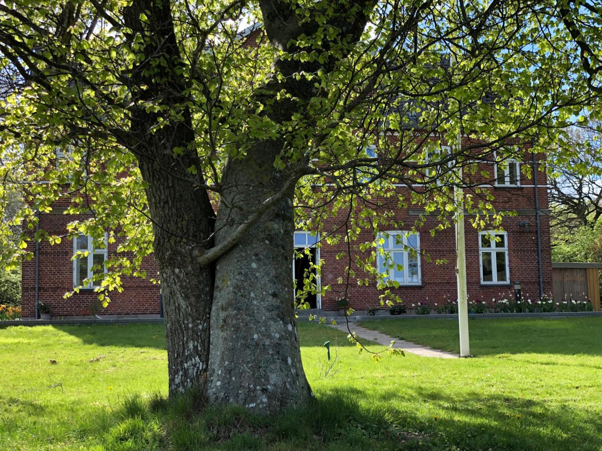 Rolykke Hotel Sæby Buitenkant foto